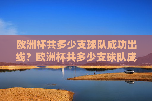 欧洲杯共多少支球队成功出线?欧洲杯共多少支球队成功出线?