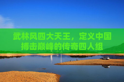 武林风四大天王,定义中国搏击巅峰的传奇四人组