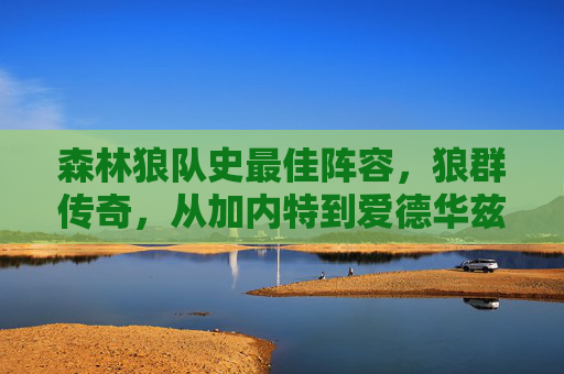 森林狼队史最佳阵容,狼群传奇,从加内特到爱德华兹的巅峰拼图,森林狼队史最佳阵容,从加内特到爱德华兹的狼群巅峰拼图