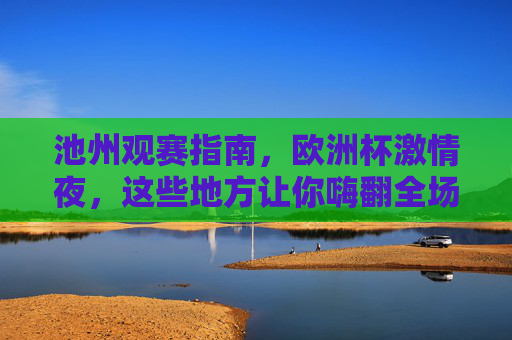 池州观赛指南,欧洲杯激情夜,这些地方让你嗨翻全场!池州欧洲杯观赛指南,激情夜嗨翻全场