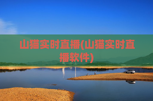 山猫实时直播(山猫实时直播软件)