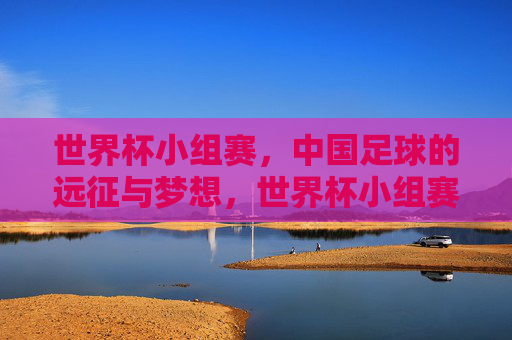 世界杯小组赛，中国足球的远征与梦想，世界杯小组赛，中国足球远征之梦