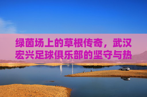 绿茵场上的草根传奇，武汉宏兴足球俱乐部的坚守与热爱，绿茵草根传奇，武汉宏兴的坚守与热爱