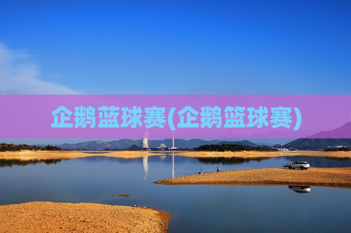 企鹅蓝球赛(企鹅篮球赛)