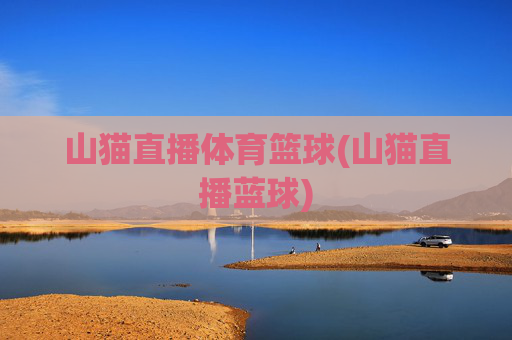 山猫直播体育篮球(山猫直播蓝球)