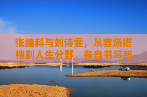 张继科与刘诗雯,从赛场搭档到人生分野,各自书写新篇章,张继科刘诗雯,从赛场搭档到人生分野,各自书写新篇章