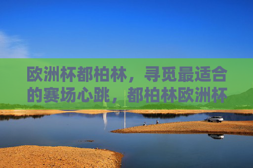 欧洲杯都柏林，寻觅最适合的赛场心跳，都柏林欧洲杯，觅赛场心跳