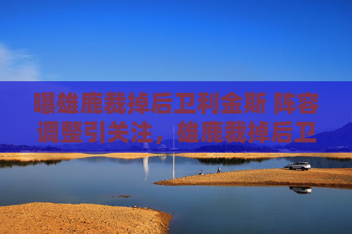 曝雄鹿裁掉后卫利金斯 阵容调整引关注,雄鹿裁掉后卫利金斯,阵容调整引关注