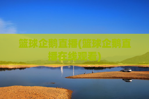 篮球企鹅直播(篮球企鹅直播在线观看)