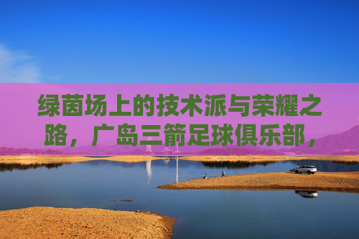 绿茵场上的技术派与荣耀之路,广岛三箭足球俱乐部,广岛三箭,绿茵场上的技术派与荣耀征途