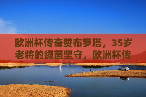 欧洲杯传奇赞布罗塔，35岁老将的绿茵坚守，欧洲杯传奇赞布罗塔，35岁老将的绿茵坚守