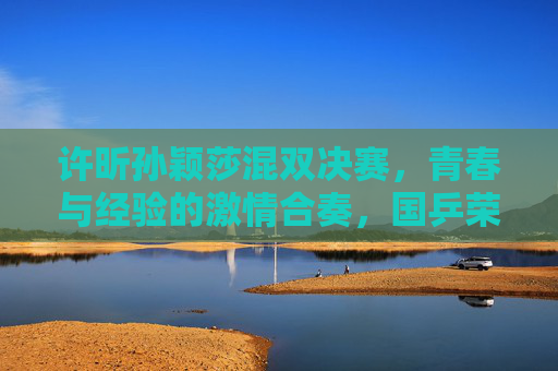 许昕孙颖莎混双决赛，青春与经验的激情合奏，国乒荣耀的闪耀时刻，许昕孙颖莎混双决赛，青春与经验共谱国乒荣耀