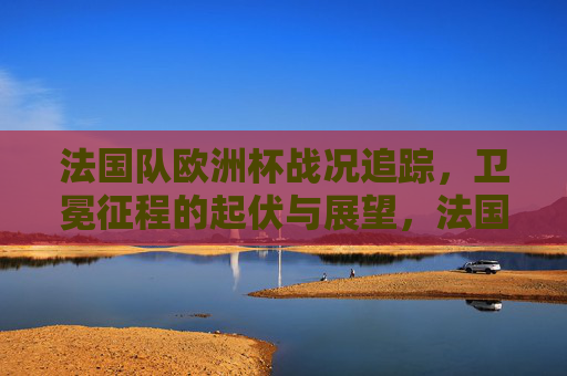法国队欧洲杯战况追踪，卫冕征程的起伏与展望，法国队欧洲杯卫冕征程，战况起伏与展望