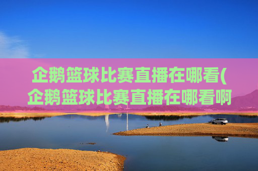 企鹅篮球比赛直播在哪看(企鹅篮球比赛直播在哪看啊)