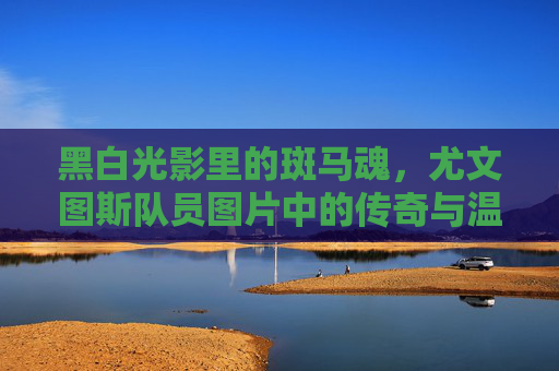 黑白光影里的斑马魂,尤文图斯队员图片中的传奇与温度,光影斑马魂,尤文图斯队员图片里的传奇与温度