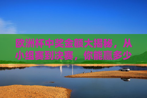 欧洲杯中奖金额大揭秘,从小组赛到决赛,你能赢多少?欧洲杯中奖金额,从小组赛到决赛你能赢多少?