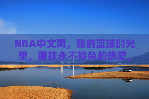 NBA中文网,我的篮球时光里,那抹永不褪色的热爱,NBA中文网,篮球时光里永不褪色的热爱