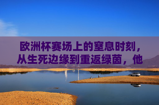 欧洲杯赛场上的窒息时刻，从生死边缘到重返绿茵，他们经历了什么？欧洲杯窒息时刻，从生死边缘到重返绿茵