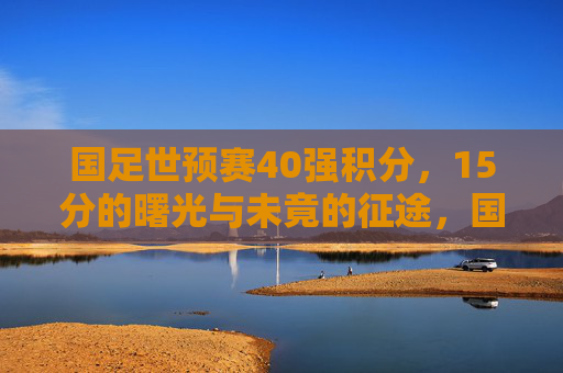 国足世预赛40强积分,15分的曙光与未竟的征途,国足世预赛40强,15分曙光与未竟征途