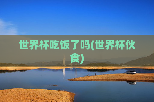 世界杯吃饭了吗(世界杯伙食)