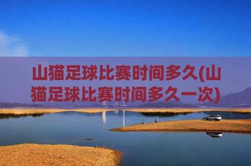 山猫足球比赛时间多久(山猫足球比赛时间多久一次)