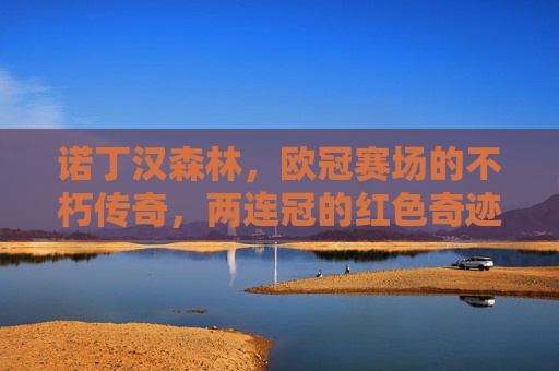 诺丁汉森林,欧冠赛场的不朽传奇,两连冠的红色奇迹,诺丁汉森林,欧冠两连冠的红色不朽传奇