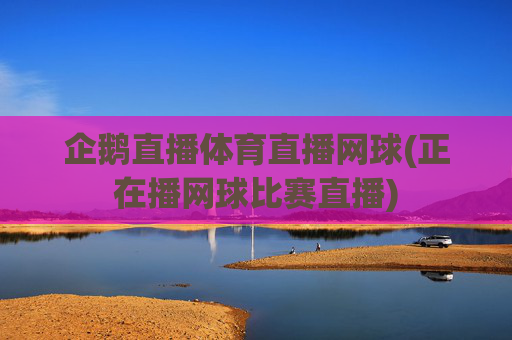 企鹅直播体育直播网球(正在播网球比赛直播)