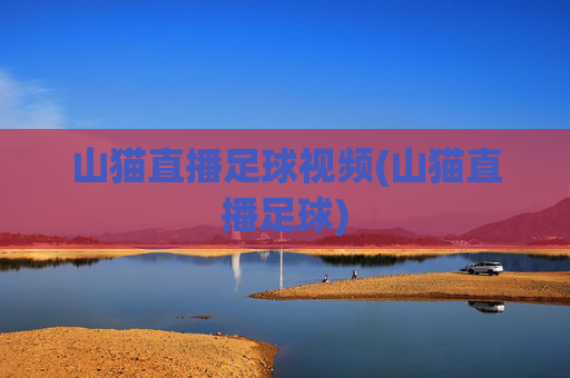 山猫直播足球视频(山猫直播足球)