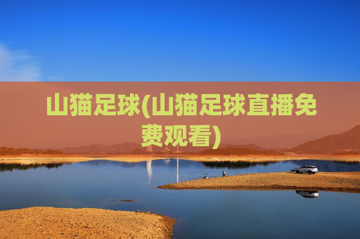 山猫足球(山猫足球直播免费观看)
