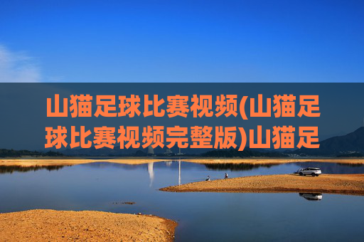 山猫足球比赛视频(山猫足球比赛视频完整版)山猫足球比赛完整版视频