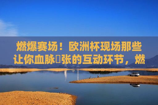 燃爆赛场!欧洲杯现场那些让你血脉偁张的互动环节,燃爆!欧洲杯现场互动血脉偁张瞬间