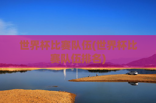 世界杯比赛队伍(世界杯比赛队伍排名)
