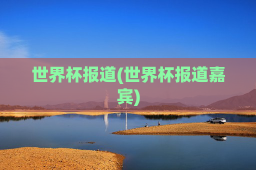 世界杯报道(世界杯报道嘉宾)