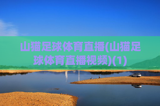 山猫足球体育直播(山猫足球体育直播视频)(1)