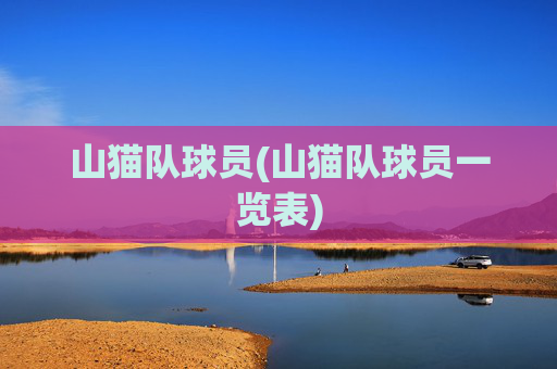 山猫队球员(山猫队球员一览表)