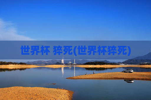 世界杯 猝死(世界杯猝死)