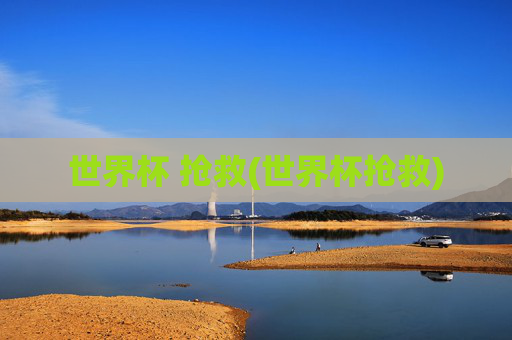 世界杯 抢救(世界杯抢救)