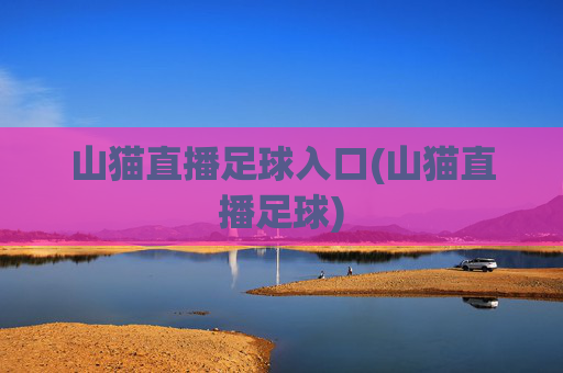 山猫直播足球入口(山猫直播足球)