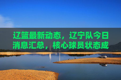 辽篮最新动态,辽宁队今日消息汇总,核心球员状态成焦点