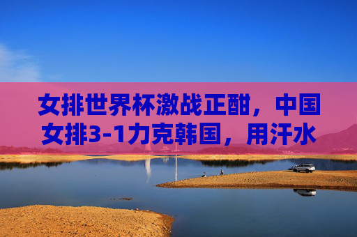 女排世界杯激战正酣，中国女排3-1力克韩国，用汗水书写亚洲荣光，女排世界杯，中国女排3-1力克韩国 汗水书写亚洲荣光