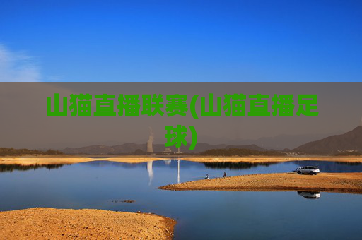 山猫直播联赛(山猫直播足球)