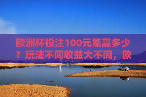 欧洲杯投注100元能赢多少？玩法不同收益大不同，欧洲杯投注100元，玩法不同，收益大不同