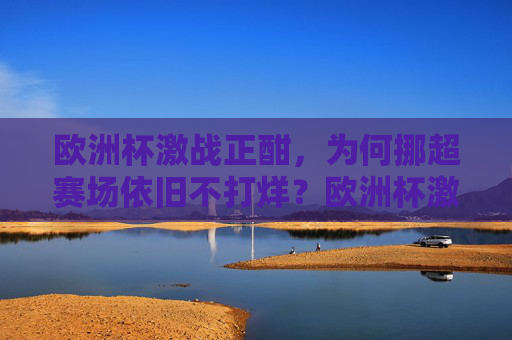 欧洲杯激战正酣,为何挪超赛场依旧不打烊?欧洲杯激战正酣,挪超赛场为何依旧不打烊?