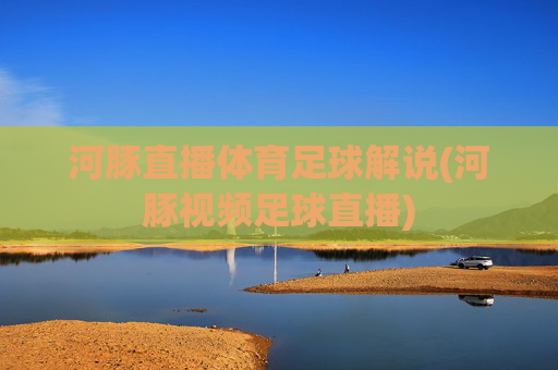 河豚直播体育足球解说(河豚视频足球直播)