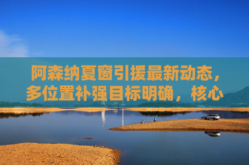 阿森纳夏窗引援最新动态,多位置补强目标明确,核心引援或将加速,阿森纳夏窗引援,多位置补强明确,核心引援将加速