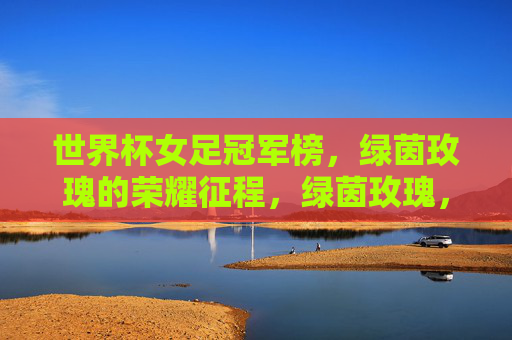 世界杯女足冠军榜,绿茵玫瑰的荣耀征程,绿茵玫瑰,世界杯女足冠军荣耀榜