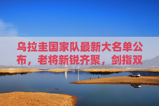 乌拉圭国家队最新大名单公布，老将新锐齐聚，剑指双线赛事，乌拉圭国家队大名单，老将新锐齐聚，剑指双线赛事