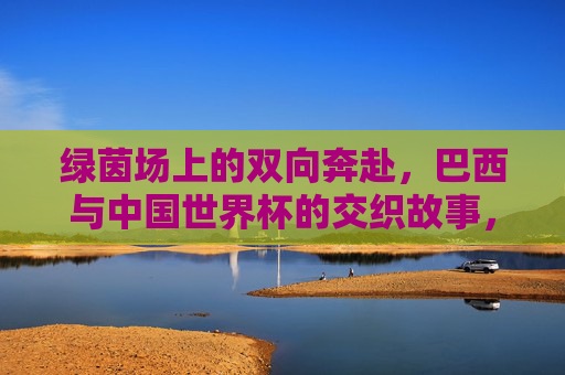 绿茵场上的双向奔赴,巴西与中国世界杯的交织故事,巴西与中国,世界杯绿茵的双向奔赴