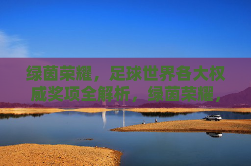 绿茵荣耀,足球世界各大权威奖项全解析,绿茵荣耀,足球世界权威奖项全解析