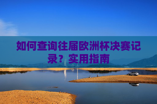 如何查询往届欧洲杯决赛记录?实用指南